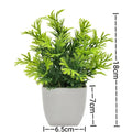 Artificial Plants with Pot